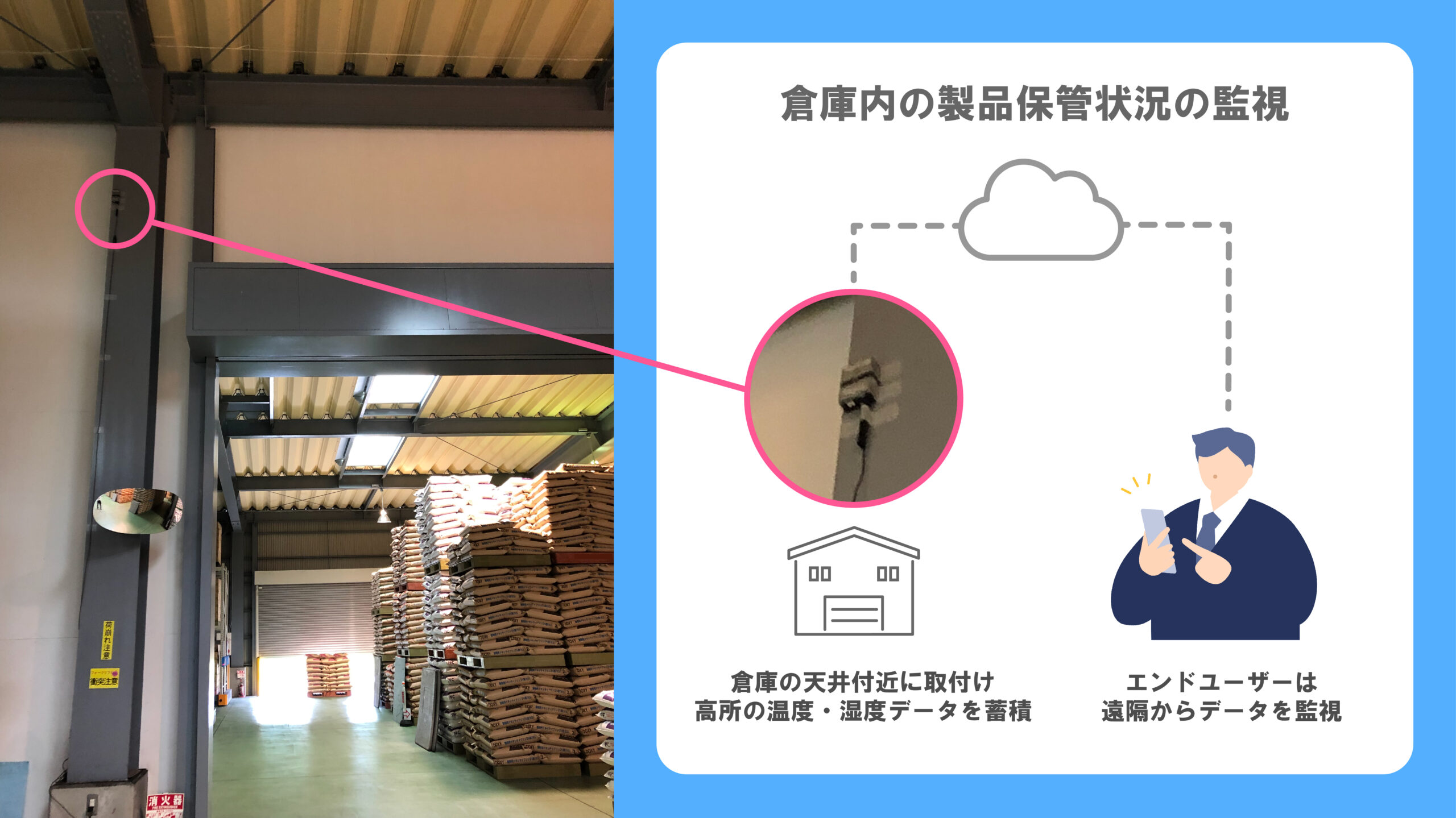 の写真